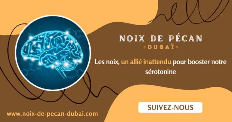 noix sérotonine