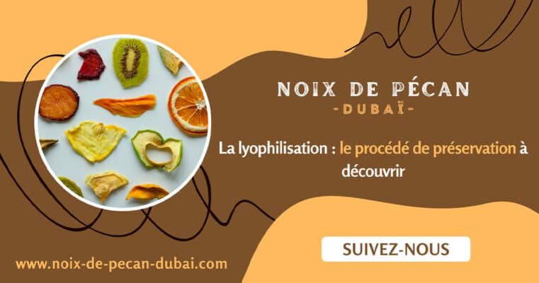 lyophilisation