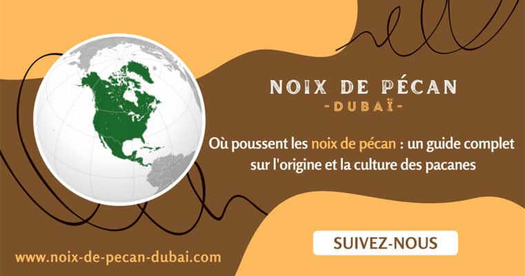 Où poussent les noix de pécan