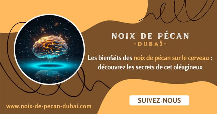 noix de pécan cerveau
