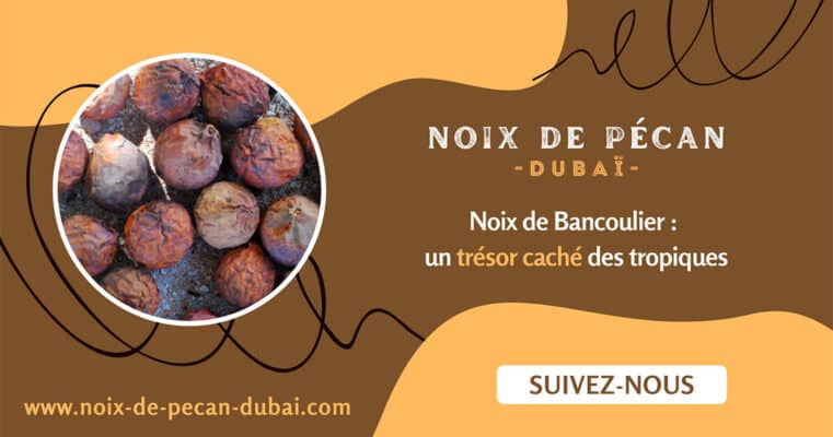 noix de bancoulier