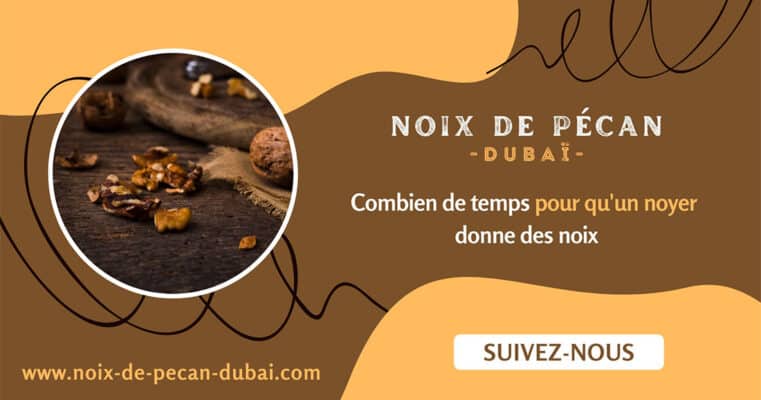 Combien de temps pour qu'un noyer donne des noix