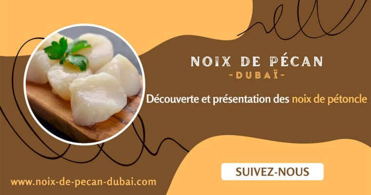 noix de pétoncle
