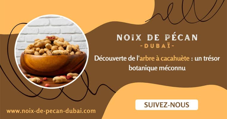 arbre à cacahuète
