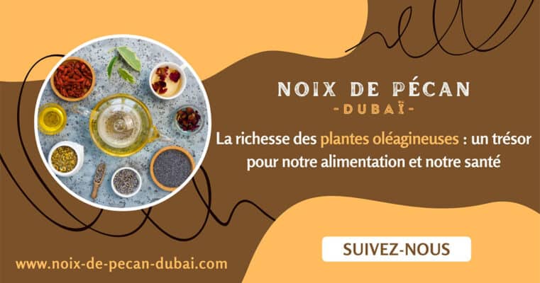 plantes oléagineuses