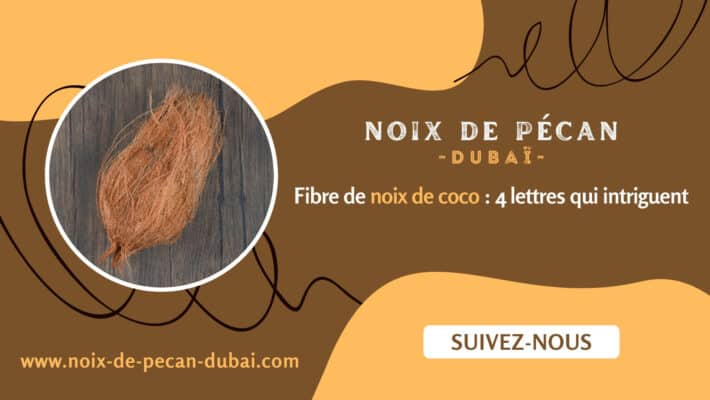 Fibre de noix de coco