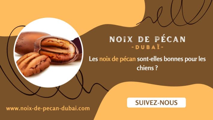 noix de pécan et les chiens